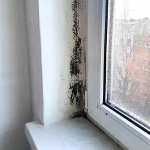 Schimmel in der Fensterlaibung