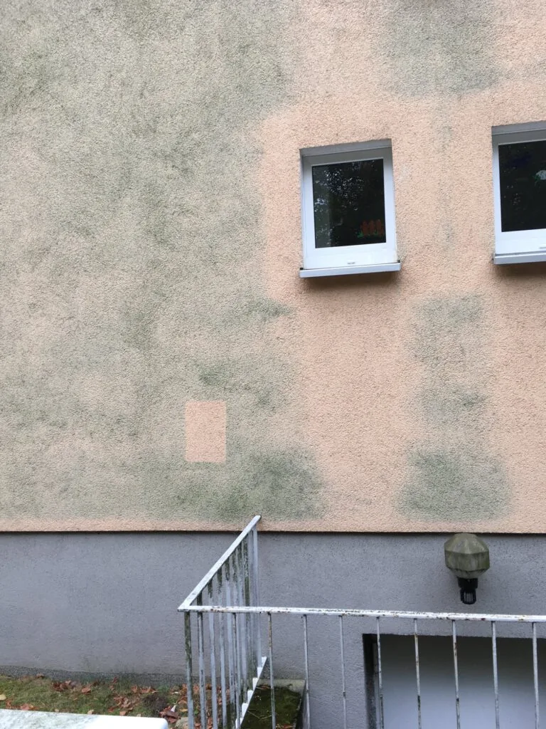 Algenbeseitigung Musterfläche