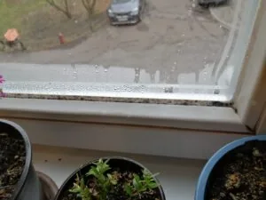 nasse Fenster vermeiden