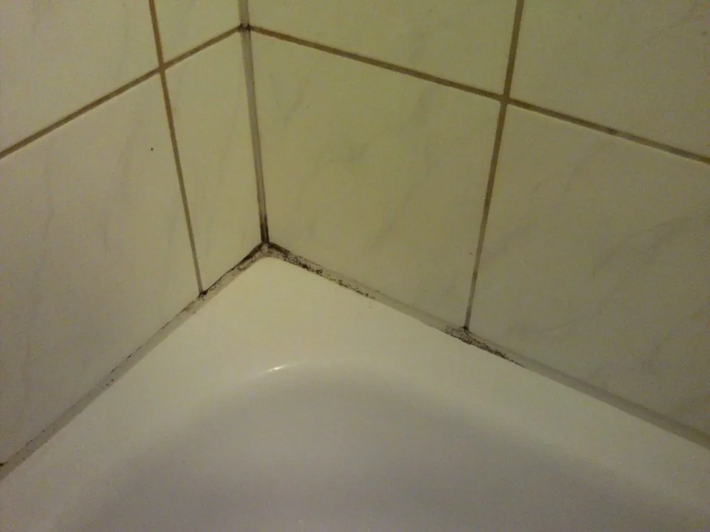 Schimmel auf silikon 1