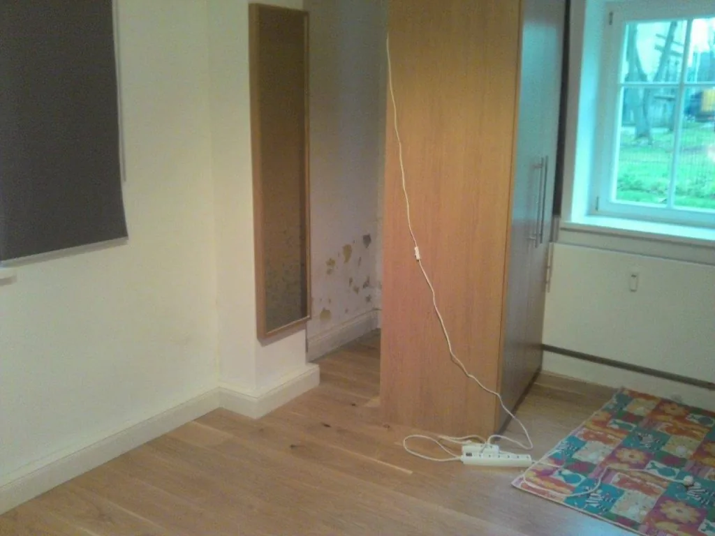 Schimmel hinter dem schrank