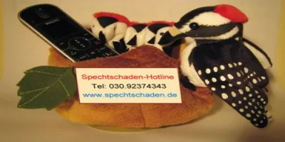 Spechtschaden hotline slide1