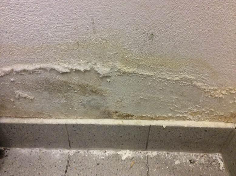 Schimmel-Schadensbild durch Leckage – feuchter Wandbereich mit dunklen Verfärbungen