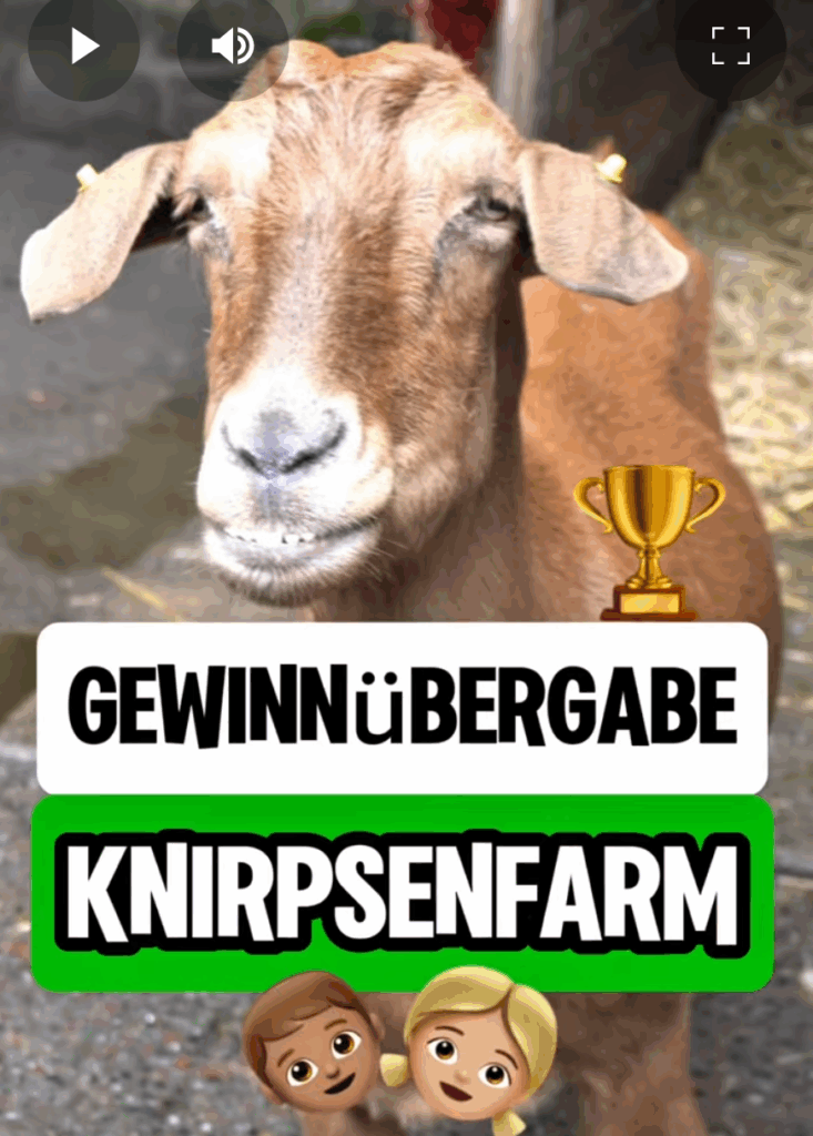 Kinderbauernhof Knirpsenfarm-Grüner Campus
