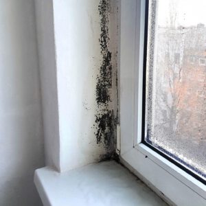 Schimmel in der Fensterlaibung