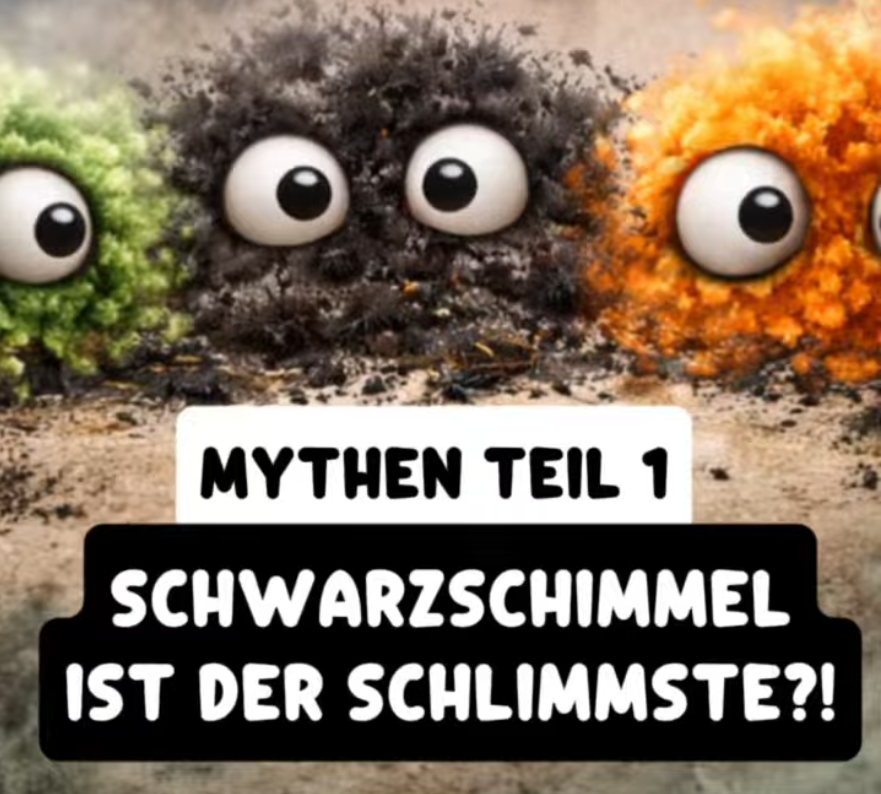 Rund um das Thema Schimmel halten sich viele Mythen hartnäckig.