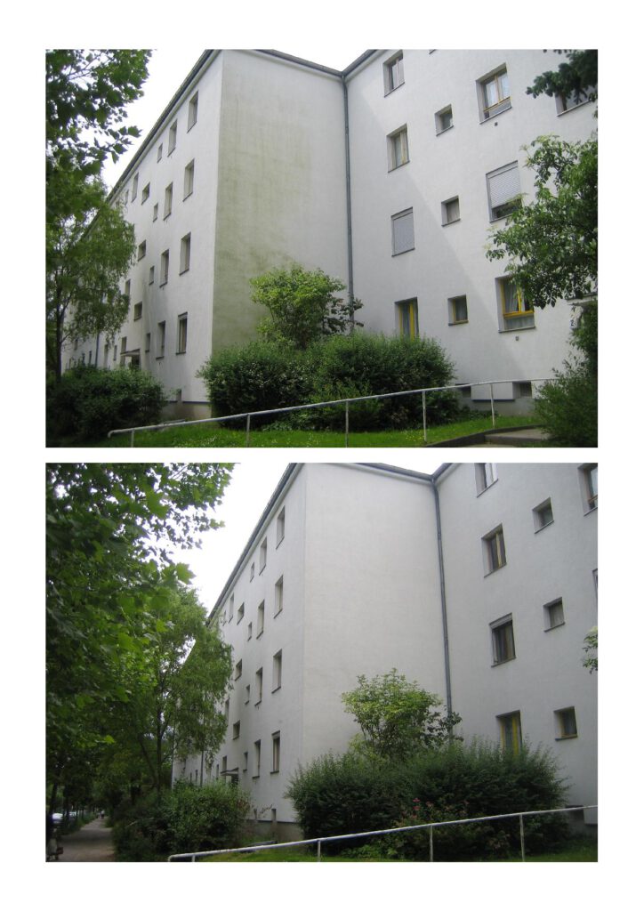 Preiswerte und umweltfreundliche Algenbeseitigung