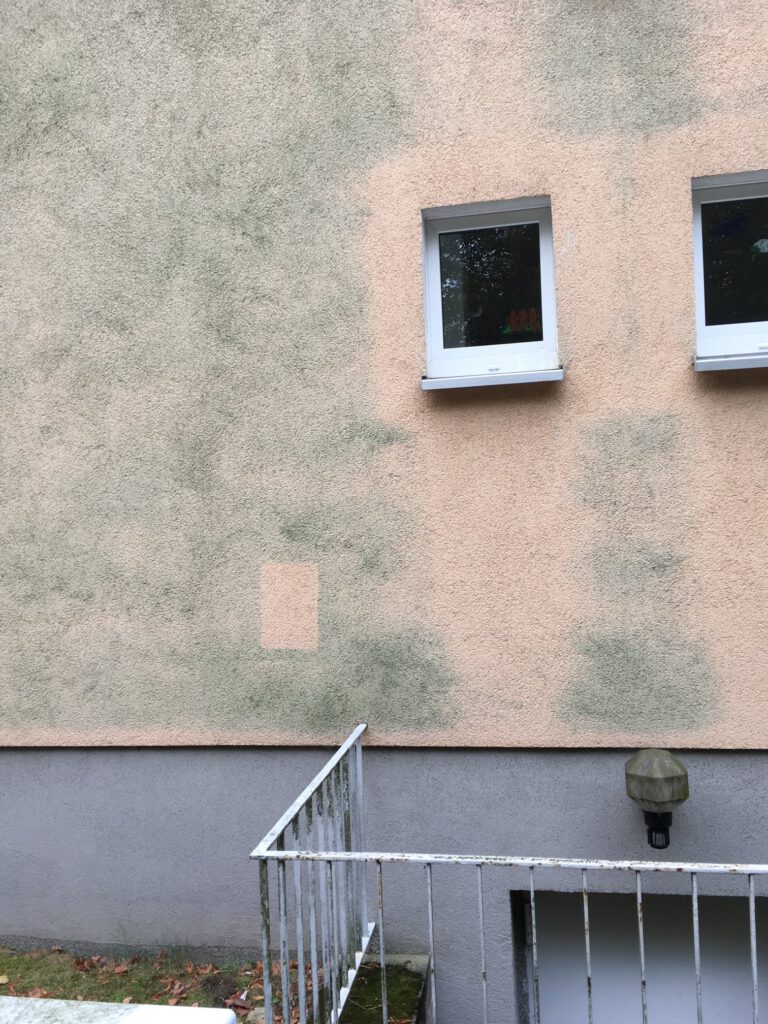 Algenbeseitigung Musterfläche