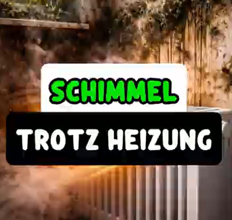 Schimmel vermeiden mit Heizkörperlüfter Speedcomfort