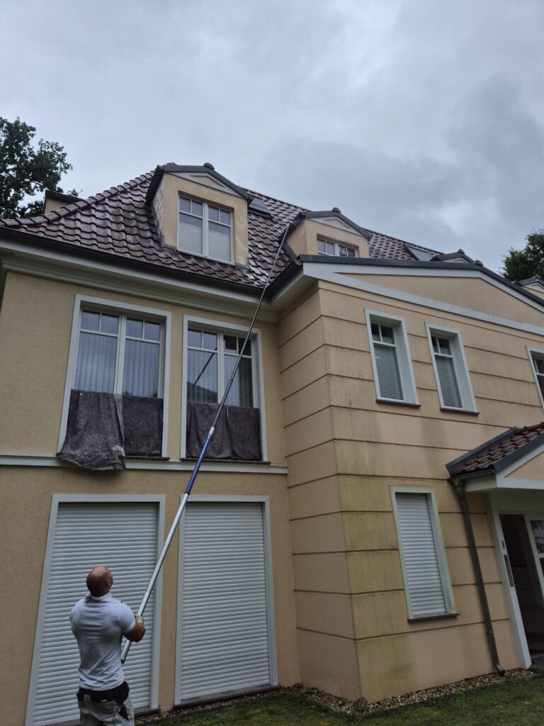 Algen entfernen ohne kärchern umweltfreundlich und preiswert