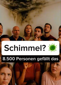 Kostenlose Schimmel-Hilfe in unserer Facebook-Gruppe: Fotos/Videos posten, Fragen anonym stellen & Tipps zur Diagnose, Sanierung und Prävention erhalten