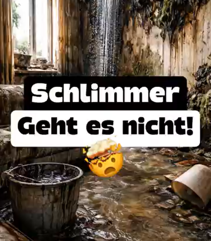 Was tun bei Schimmelpilzschaden in Mietwohnung