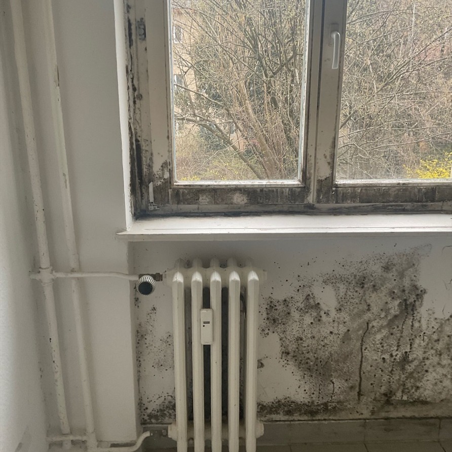 Das Bild zeigt einen massiven Schimmelbefall im Bereich einer Fensterlaibung sowie unterhalb eines Fensters in einer Altbauwohnung. Besonders auffällig ist die starke Ausprägung entlang der unteren Fensterkante und an der angrenzenden Wandfläche hinter dem Heizkörper
